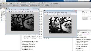 Homomorphic Filter using Matlab [upl. by Suriaj]