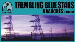 TREMBLING BLUE STARS  Branches Audio [upl. by Ellenar]