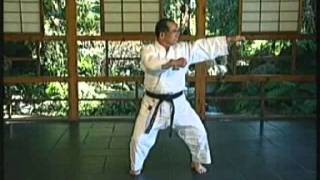 Motoburyu Naihanchi Shodan by Motobu Chosei slow [upl. by Nailliw308]