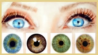 The SECRET to making your EYE COLOR POP [upl. by Volding]