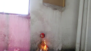 AFO Fire Extinguisher BALL  Real Test [upl. by Aland]