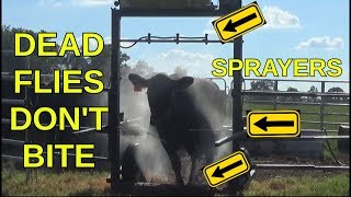 Best Fly Spray For Cows [upl. by Aes305]