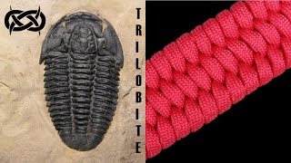 Beginner Paracord How to Make a Trilobite Paracord Bracelet [upl. by Mullins]