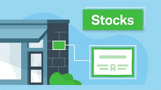 Investing Basics Stocks [upl. by Skell]