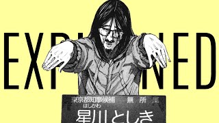 Pegasus Explained  Oyasumi Punpun [upl. by Animor]