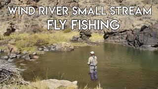 Wind River Fly Fishing  Wyoming [upl. by Leinad217]