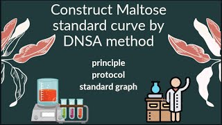 Practical  maltose standard curve by DNSA method [upl. by Golub773]