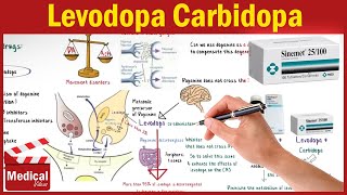 Pharmacology CNS 3 Parkinsons Disease Treatment Part 1 Levodopa Carbidopa and Benserazide [upl. by Ilesara760]