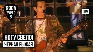 Ногу Свело  Чёрная рыжая Live Концерт quotПотерянный поездquot 2005 [upl. by Assehc]