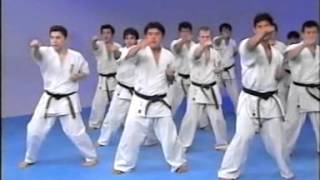 Kyokushin karate encyclopedia 1 [upl. by Lenrow]