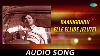 Baanigondu Elle Ellide Flute  Dr Rajkumars Melody  Instrumental From Kannada Flims [upl. by Zelten]