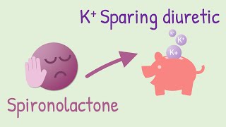 Mechanism of action of Spironolactone [upl. by Other]