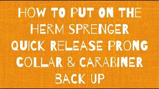 Herm Sprenger Quick Release Prong Collar How to Fit [upl. by Alexine185]