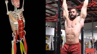 Hanging Leg Raises Hip Flexion [upl. by Tristam560]