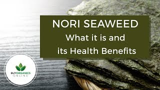 Nori Seaweed  What it is and its Health Benefits [upl. by Icat]