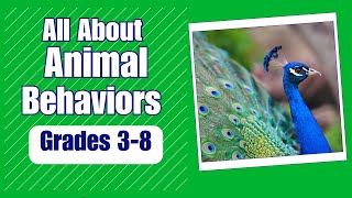 Animal Behavior  More Real World Science on Harmony Square [upl. by Krystyna510]