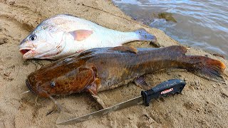 Catch n Cook Flathead Catfish amp Drum  Ace Videos [upl. by Krysta]