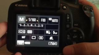 How To Connect Your Canon EOS Rebel T61300D To Your Computer [upl. by Eedyak]