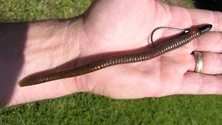 Howto rig and fish texas rigged worms and also how to tie a fishing knot [upl. by Drape]