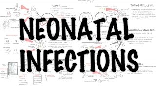 Neonatal Infections  Overview [upl. by Ydnar]