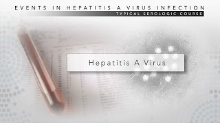 Hepatitis B Structure and Lab diagnosis [upl. by Naomi]