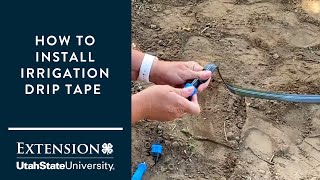 How to Install a Drip Tape Irrigation System [upl. by Akira]