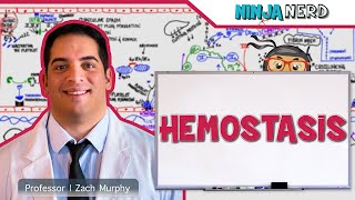 Hematology  Hemostasis Coagulation Cascade [upl. by Bonni425]