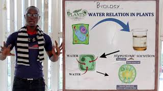 8 Osmosis Biology Form 1 [upl. by Stilwell]