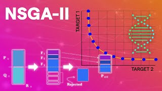 NSGAII Optimization Understand fast how it works complete explanation [upl. by Nhguahs]