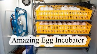 Egg Incubator Review and Operation [upl. by Cousins156]