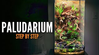 How to build a Paludarium Vivarium [upl. by Tempest]