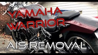 RS WarriorYamaha Warrior 1700 AIS removal [upl. by Onaicilef952]