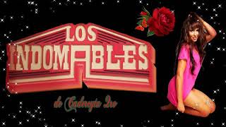 Los indomable cumbia mix completo [upl. by Akerehs]