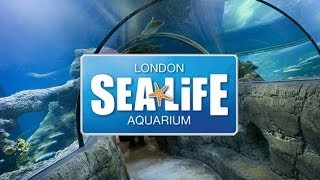 SEA LIFE London Aquarium [upl. by Adev]