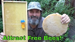 How To Attract Bees To Your Bee Box [upl. by Dwaine371]