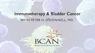 Immunotherapy How the Immune System Fights Cancer [upl. by Enamrahs233]