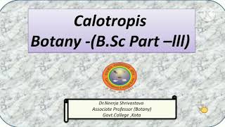 Calotropis BotanyBScPart lll [upl. by Henn]