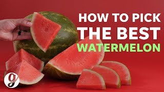 How To Pick the Best Watermelon Every Time  GRATEFUL [upl. by Barimah]