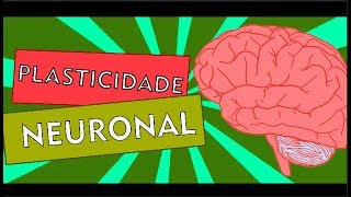 PLASTICIDADE NEURONAL  NEUROSTUDENT 15 [upl. by Aissirac765]