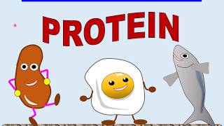 Biology Form 4 KSSM Chapter 4 43 PROTEINS [upl. by Hansel]