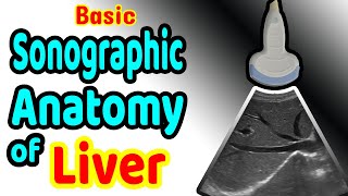 Basic Sonographic Anatomy of the Liver [upl. by Hadria]