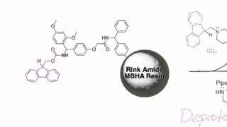 Fmoc Solid Phase Peptide Synthesis [upl. by Sone880]