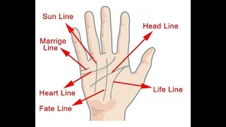 HOW TO READ YOUR OWN PALM LINES [upl. by Leamse]