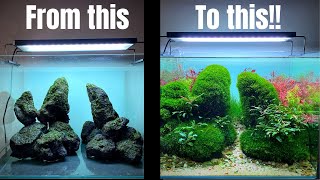 TAKE YOUR AQUASCAPE TO THE NEXT LEVEL WITH THIS MOSS METHOD [upl. by Eeldarb]