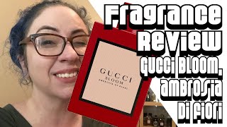 Fragrance Review  Gucci Bloom Ambrosia di Fiori  Designer Flanker [upl. by Norym]