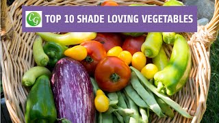 Top 10 Shade Loving Vegetables  The Best Veggies To Grow In Shade [upl. by Atrim732]