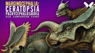 MARGINOCEPHALIA  Horned dinosaurs  Ceratopsia and relatives dinosaur size comparison [upl. by Aven]