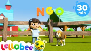 Bingo Song  ABCs and 123s  Nursery Rhymes with Subtitles [upl. by Daht]