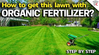 Best ORGANIC Lawn Fertilizer amp Tricks making it Work [upl. by Rann629]