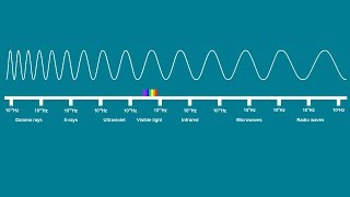 ELECTROMAGNETIC SPECTRUM SONG  Science Music Video [upl. by Corin]